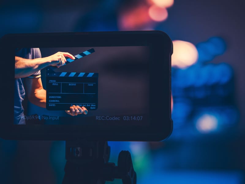 Preview of a video camera viewport