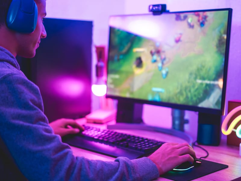 Person gaming on a computer